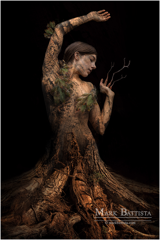 Manipulated Art In Class M By Mark Battista For Vines And Veins JAN-2019.jpg